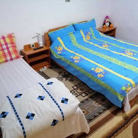 Rustic House Leilighet Turnu Măgurele Eksteriør bilde